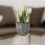 Appartement Anni *