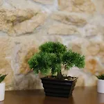 Anni Pula